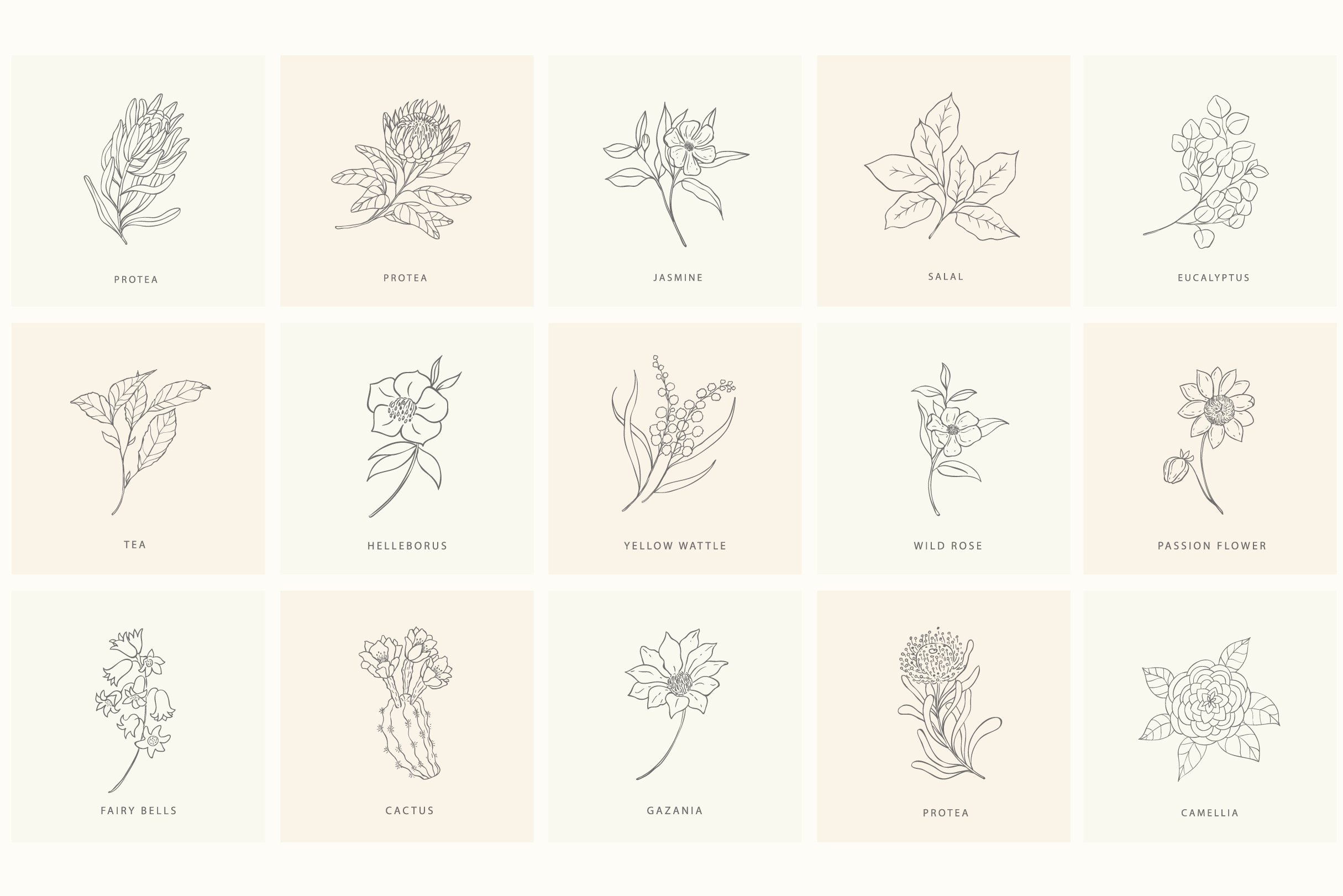 Birth-Flowers. Trendy Plants & Logos Line Art