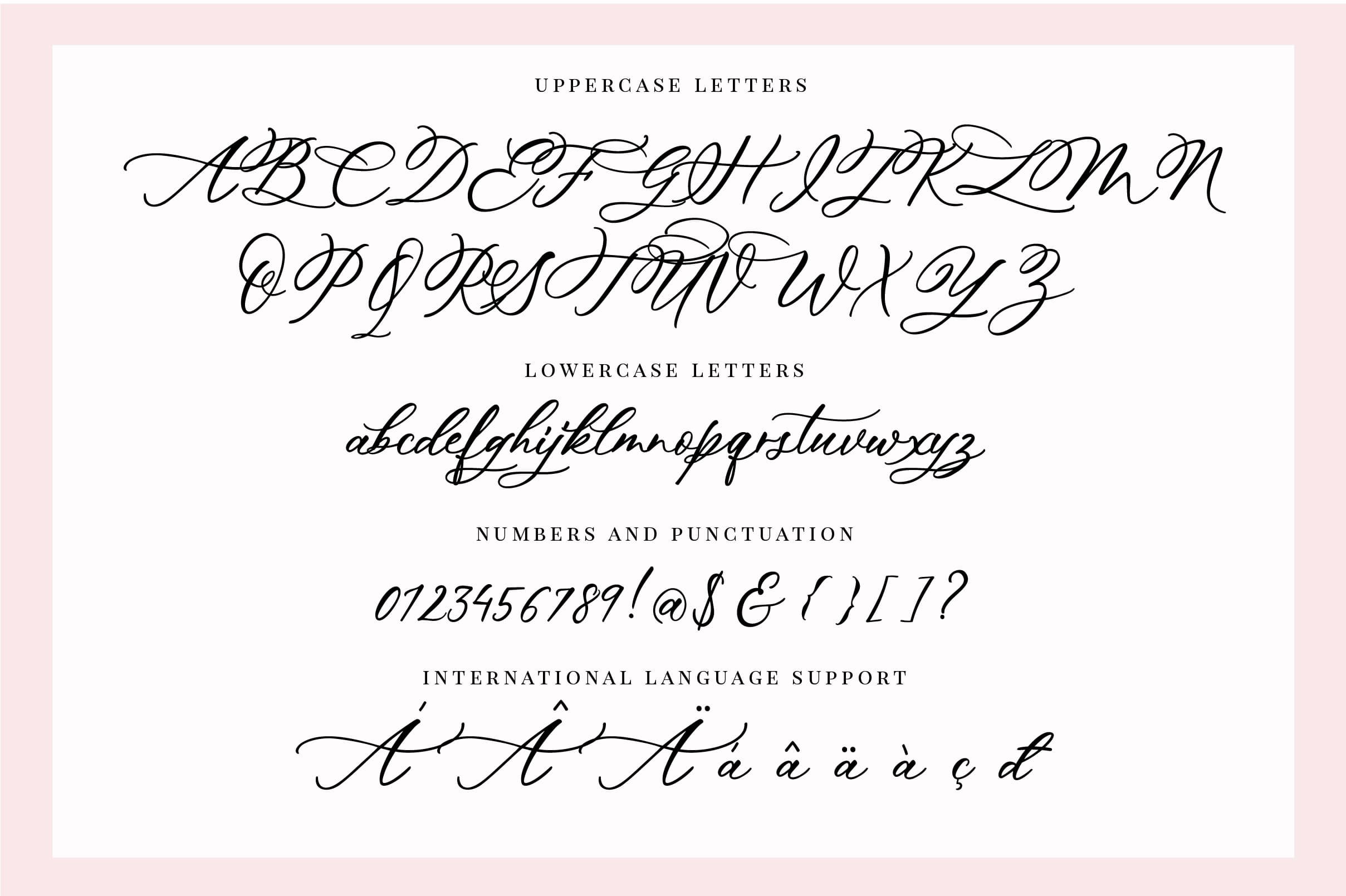 Hey Darling Calligraphy Script Font - Design Cuts
