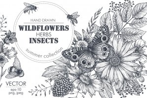Insects and Wildflowers Vector Set