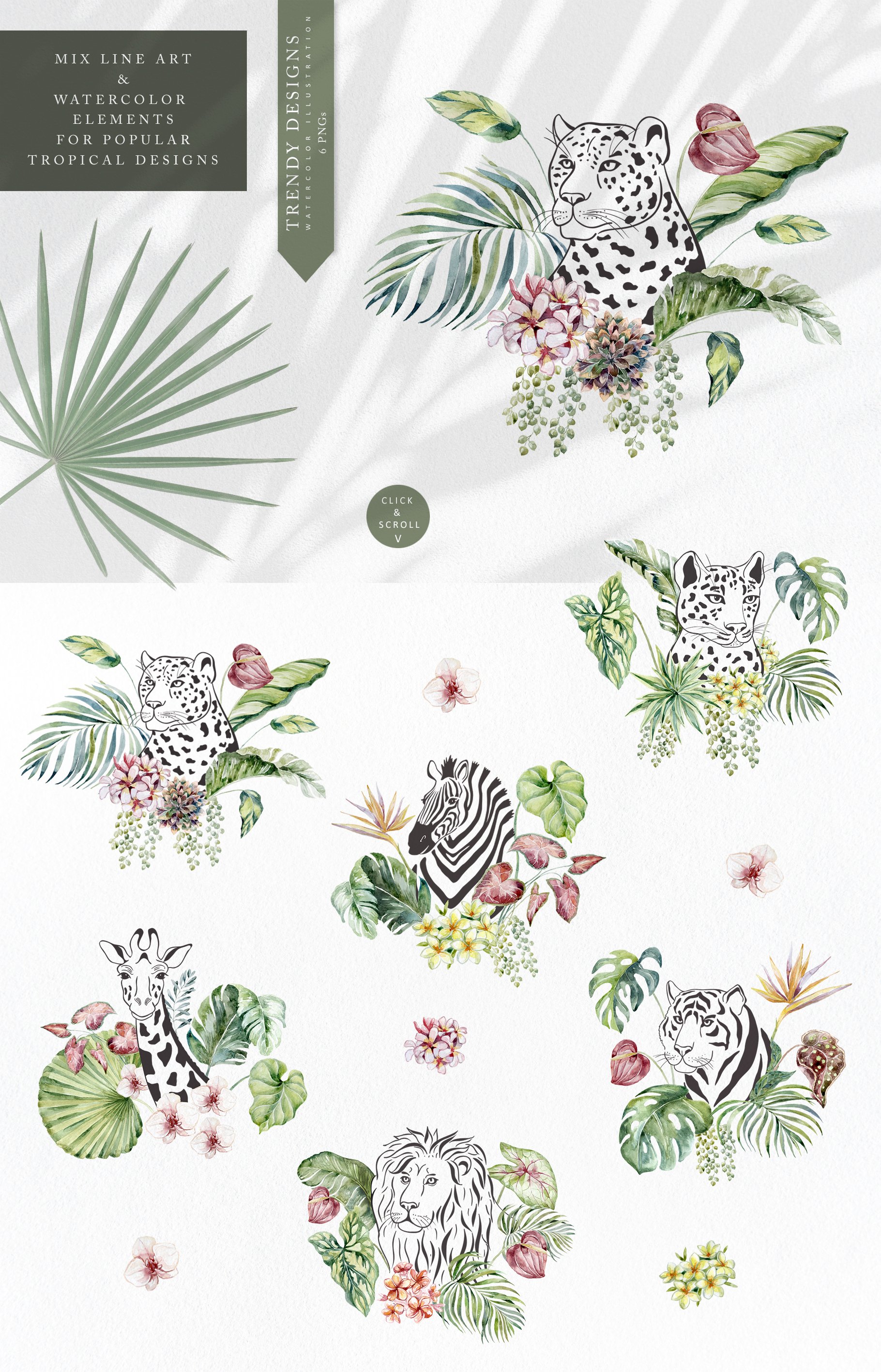 Jungle Flowers, Plants & Animals. Frames & Pattern