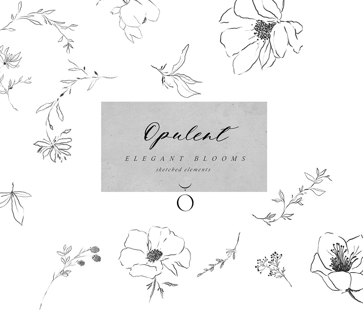 Opulent Watercolor Collection