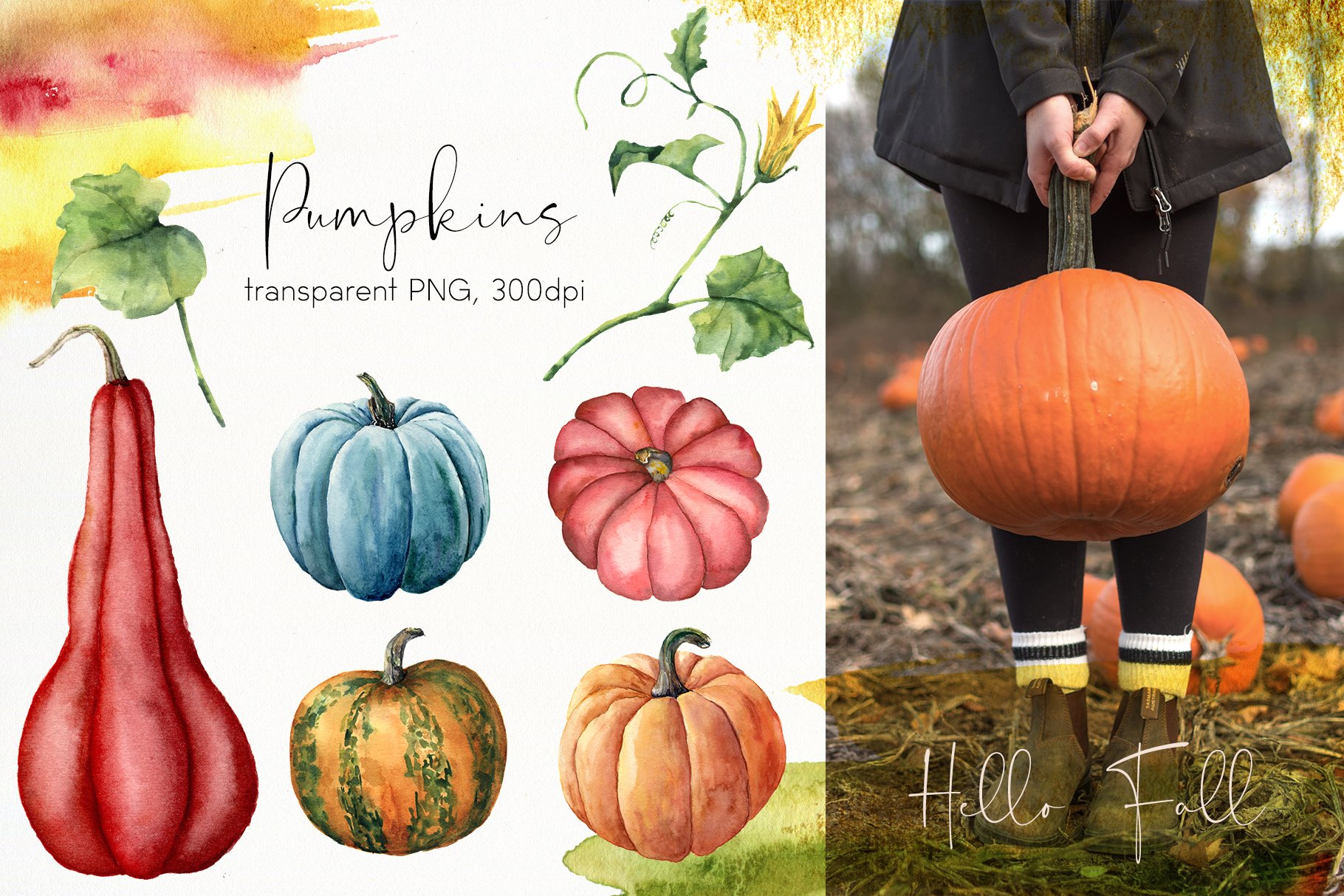 Pumpkins - Watercolor Pumpkin Bundle