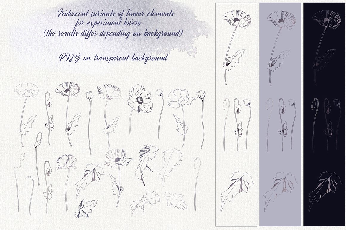 Romantic Poppies Watercolor Collection
