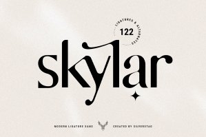 Skylar - Modern Ligature Sans Font