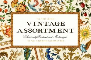 The Vintage Assortment - Volume One