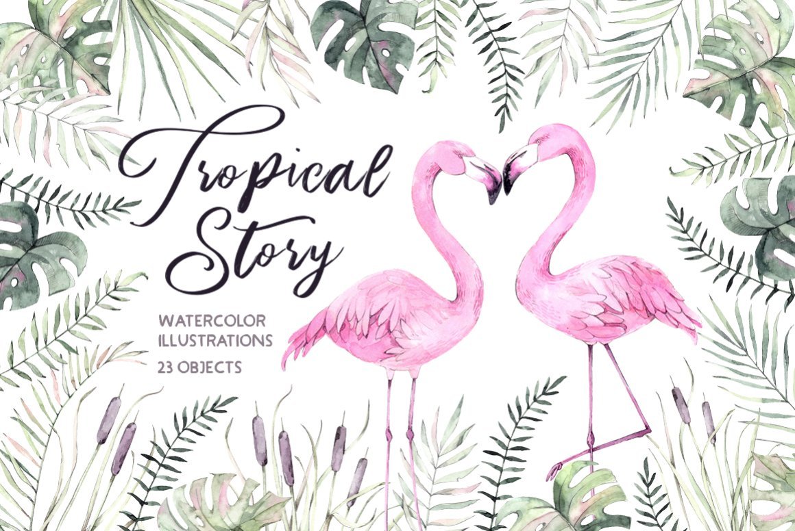 Tropical Story - All About Flamingo