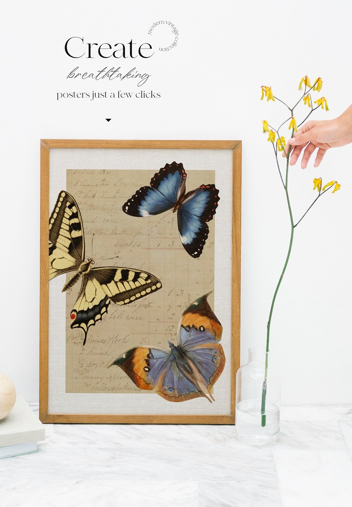 Vintage Butterfly Modern Collection