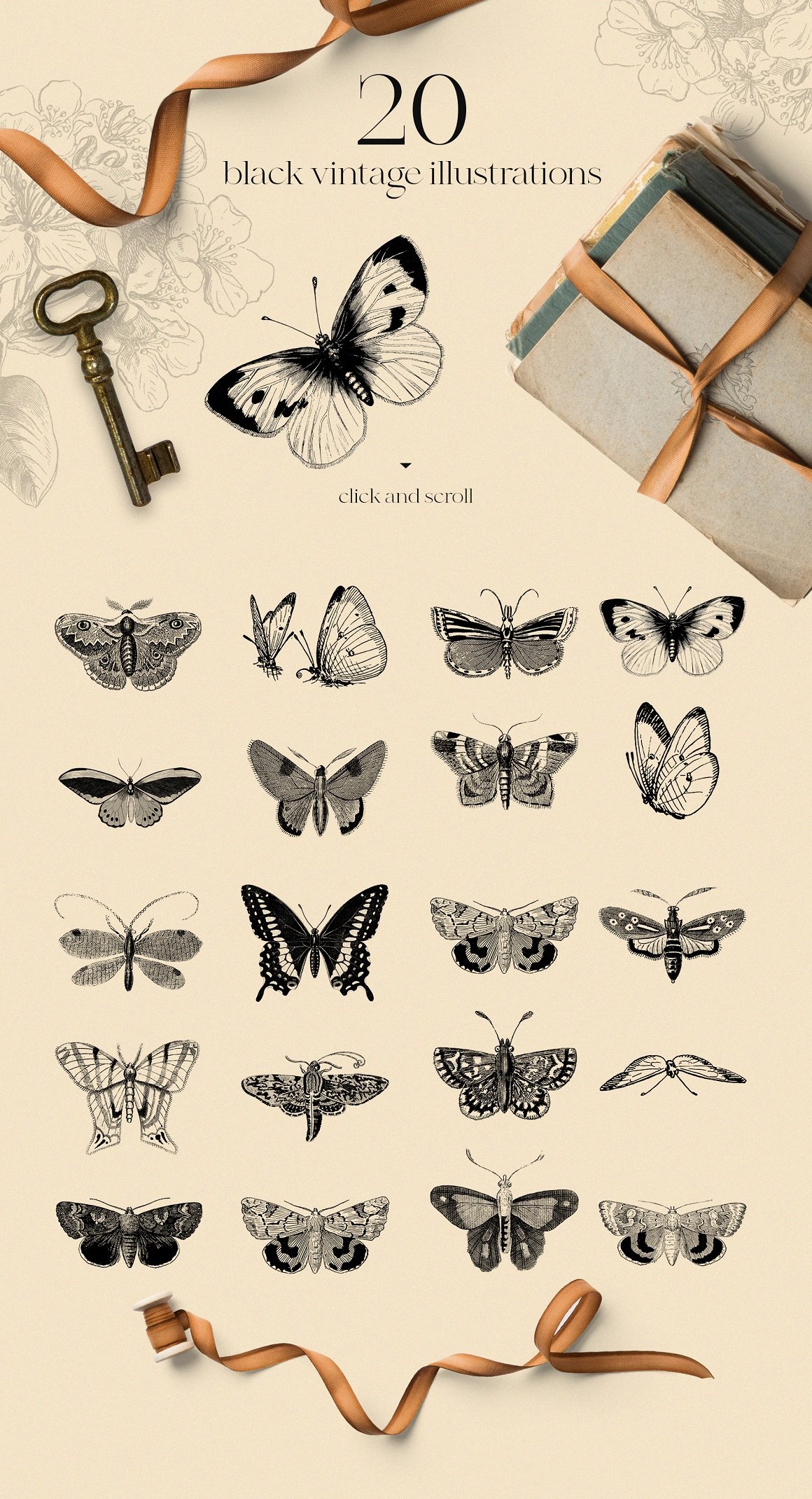 Vintage Butterfly Modern Collection