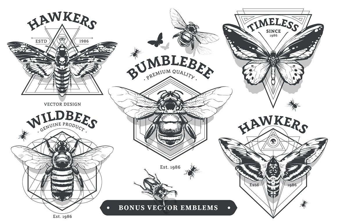 Vintage Insects Vector Set