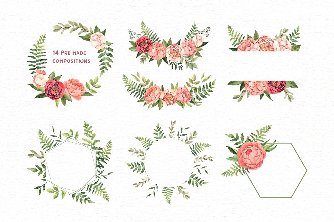 Watercolor Peony Flowers. Floral Set