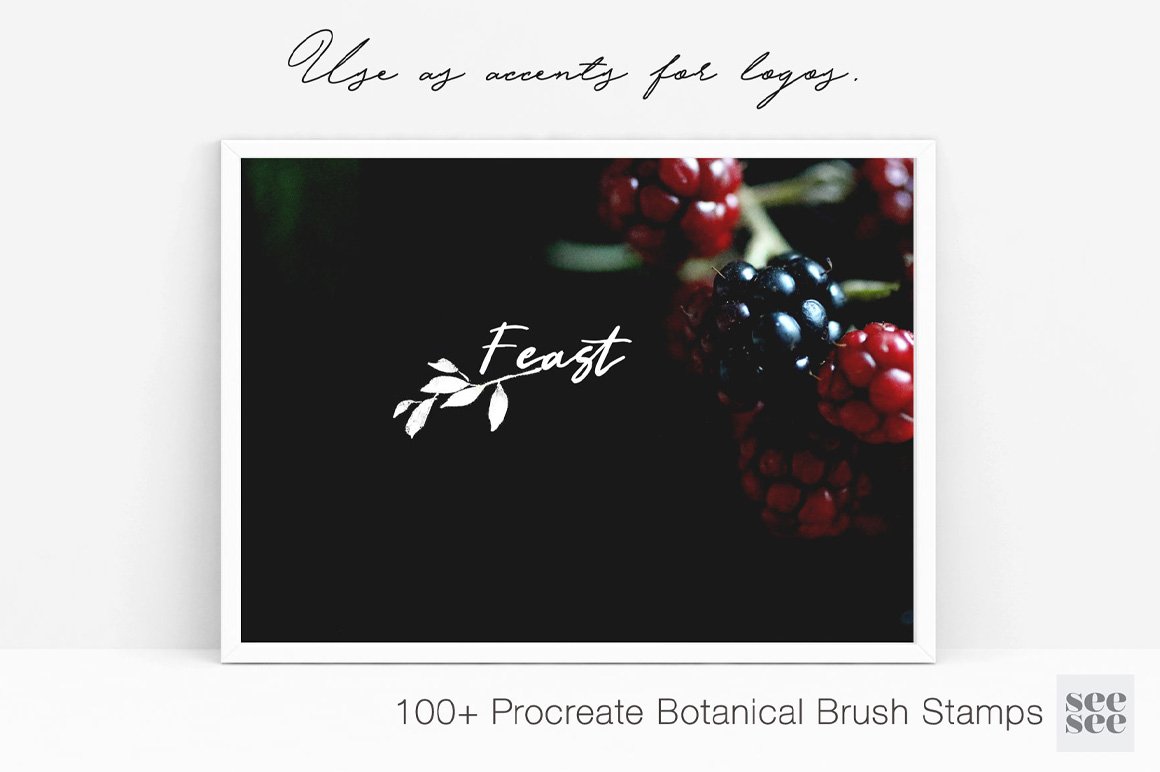100 + Botanical Procreate Brush Stamps