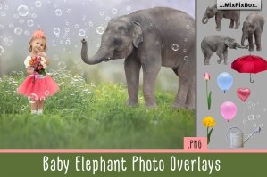 Baby Elephant Overlays