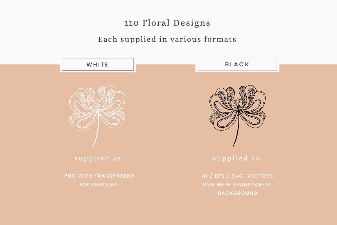 Decorative Floral Vectors