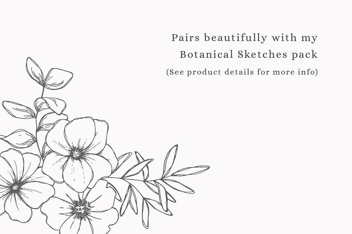 Floral Sketches Vector Illustrations