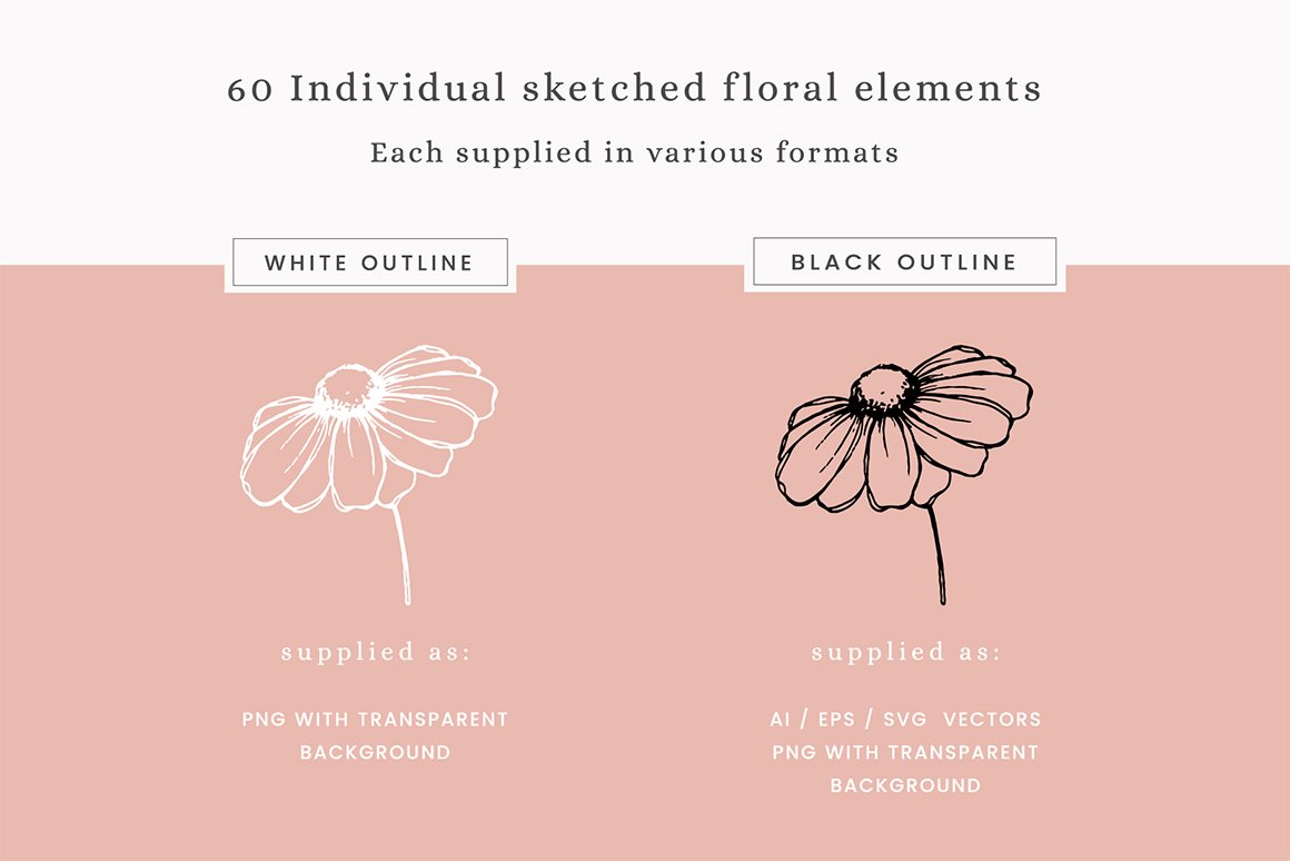 Floral Sketches Vector Illustrations