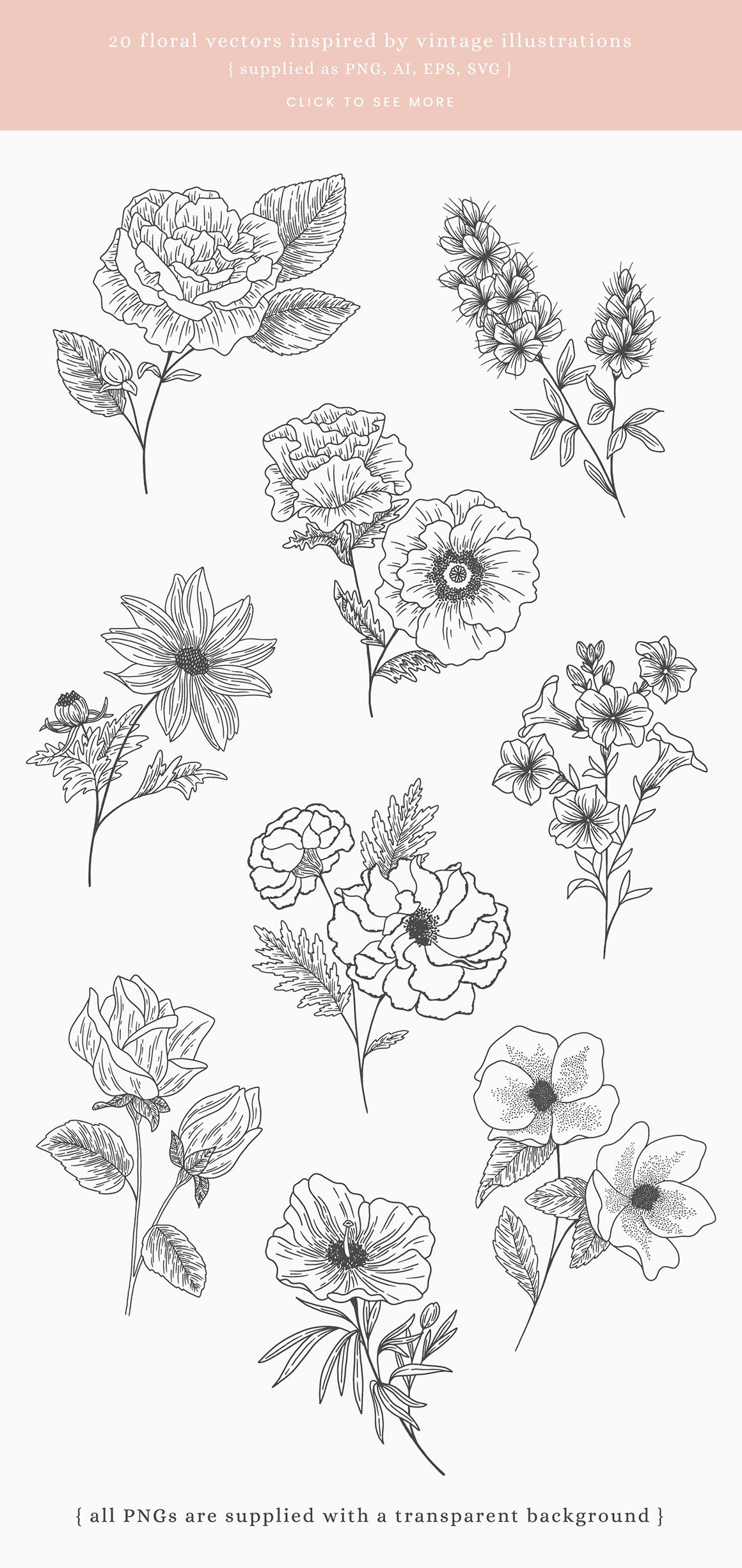 Floral Studies Vector Illustrations