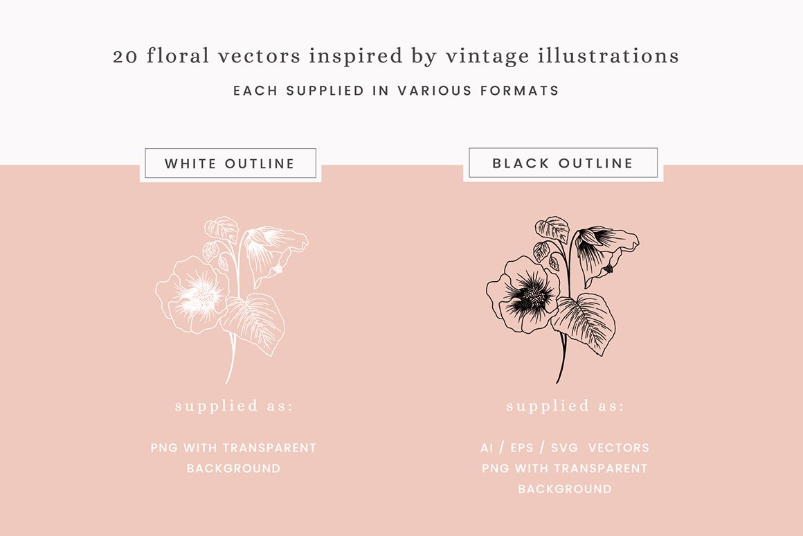 Floral Studies Vector Illustrations