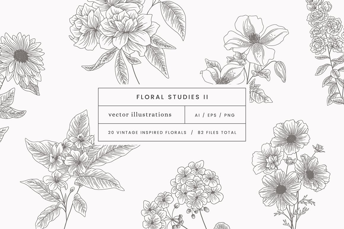 Floral Studies Vector Illustrations II
