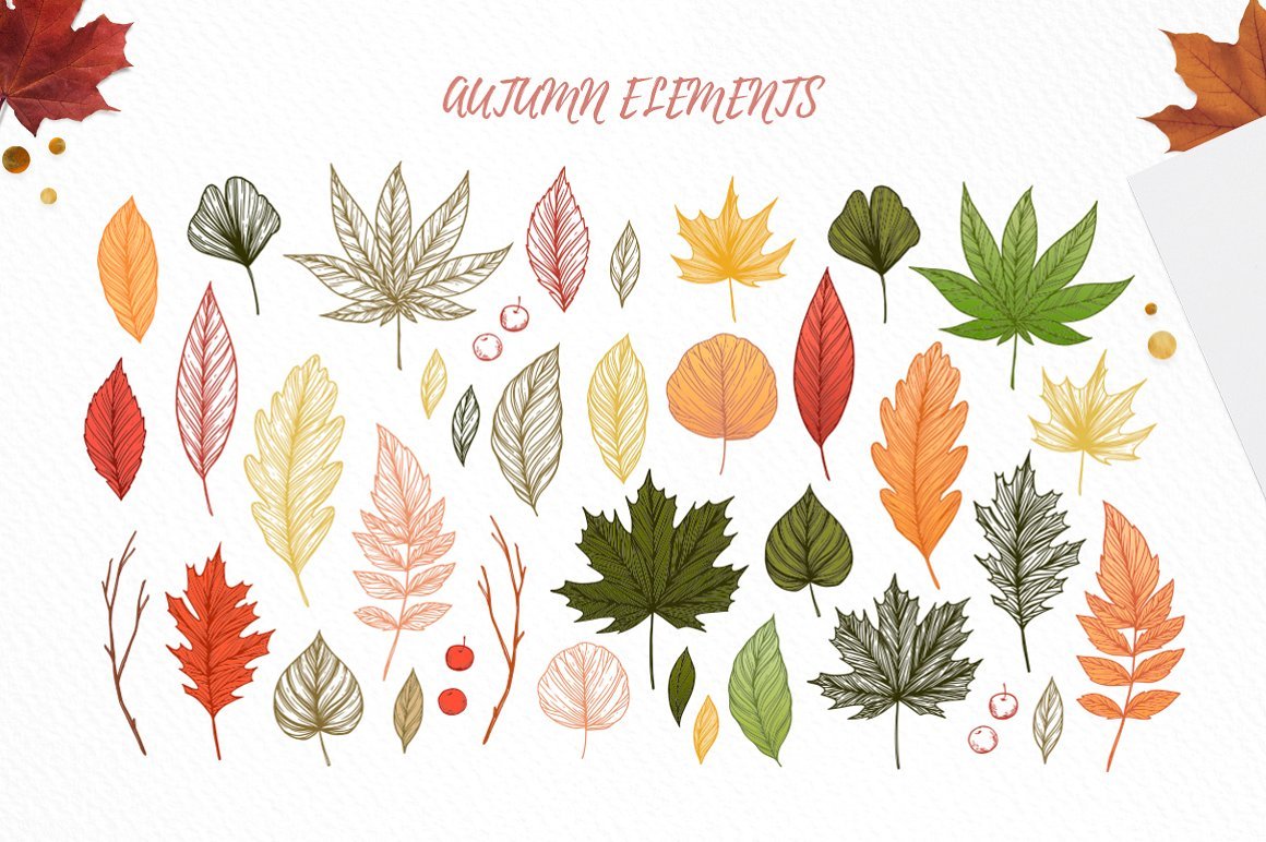 Hand Drawn Autumn Leaves - Fall