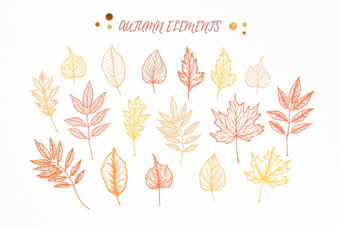 Hand Drawn Autumn Leaves - Fall