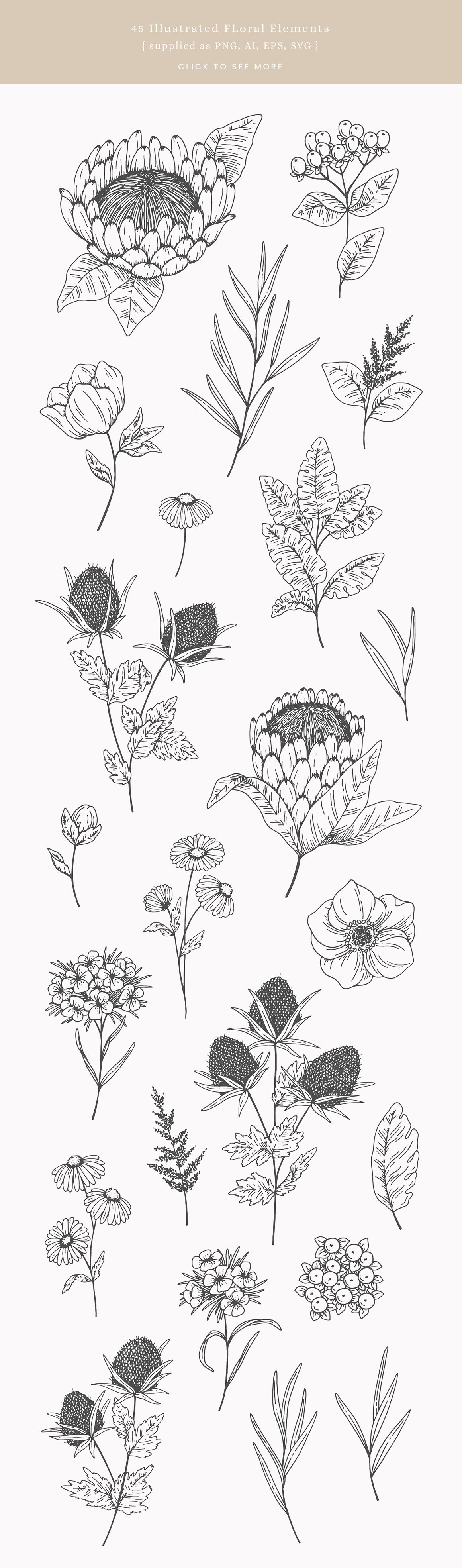 Hellebore Bouquet Floral Vector Illustrations