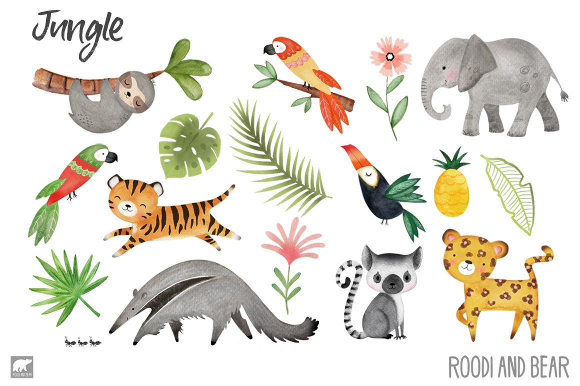 Jungle Watercolor Animals