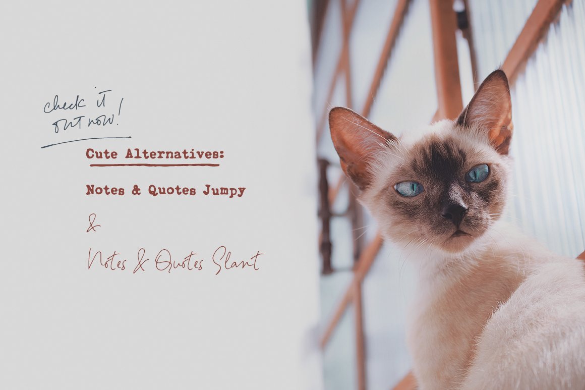 Notes And Quotes Font Duo
