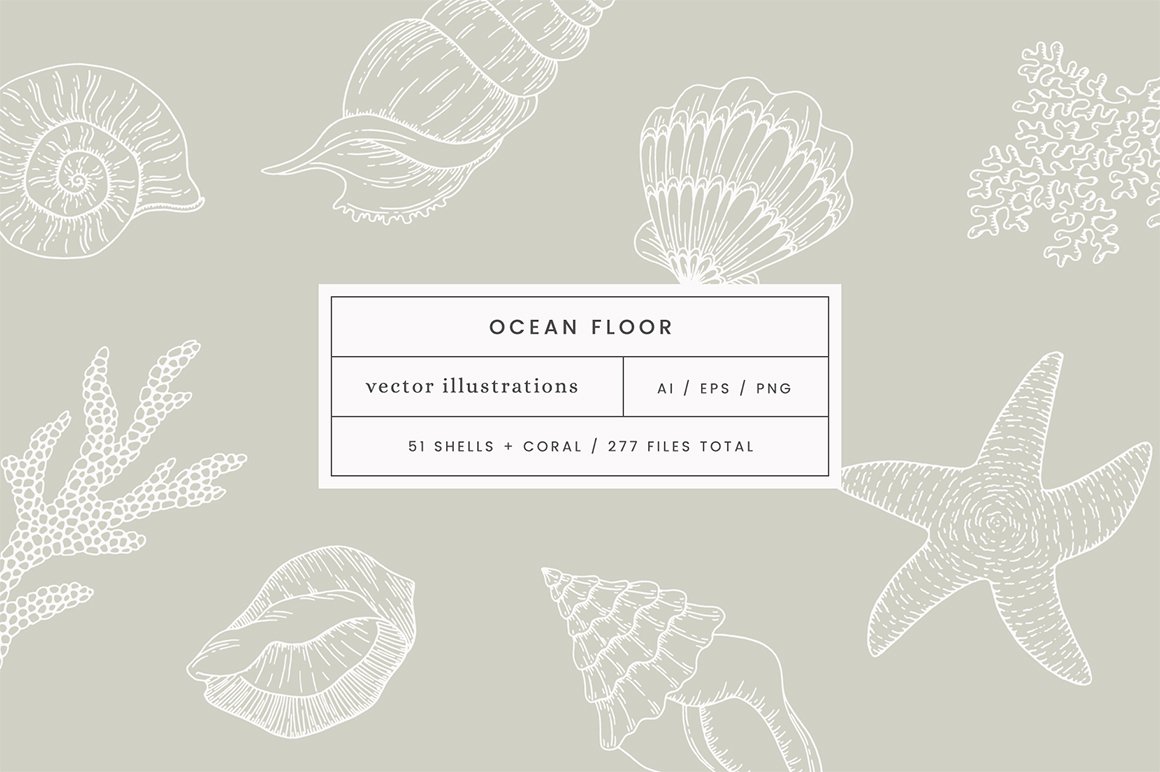 Ocean Floor Vector Illustrations