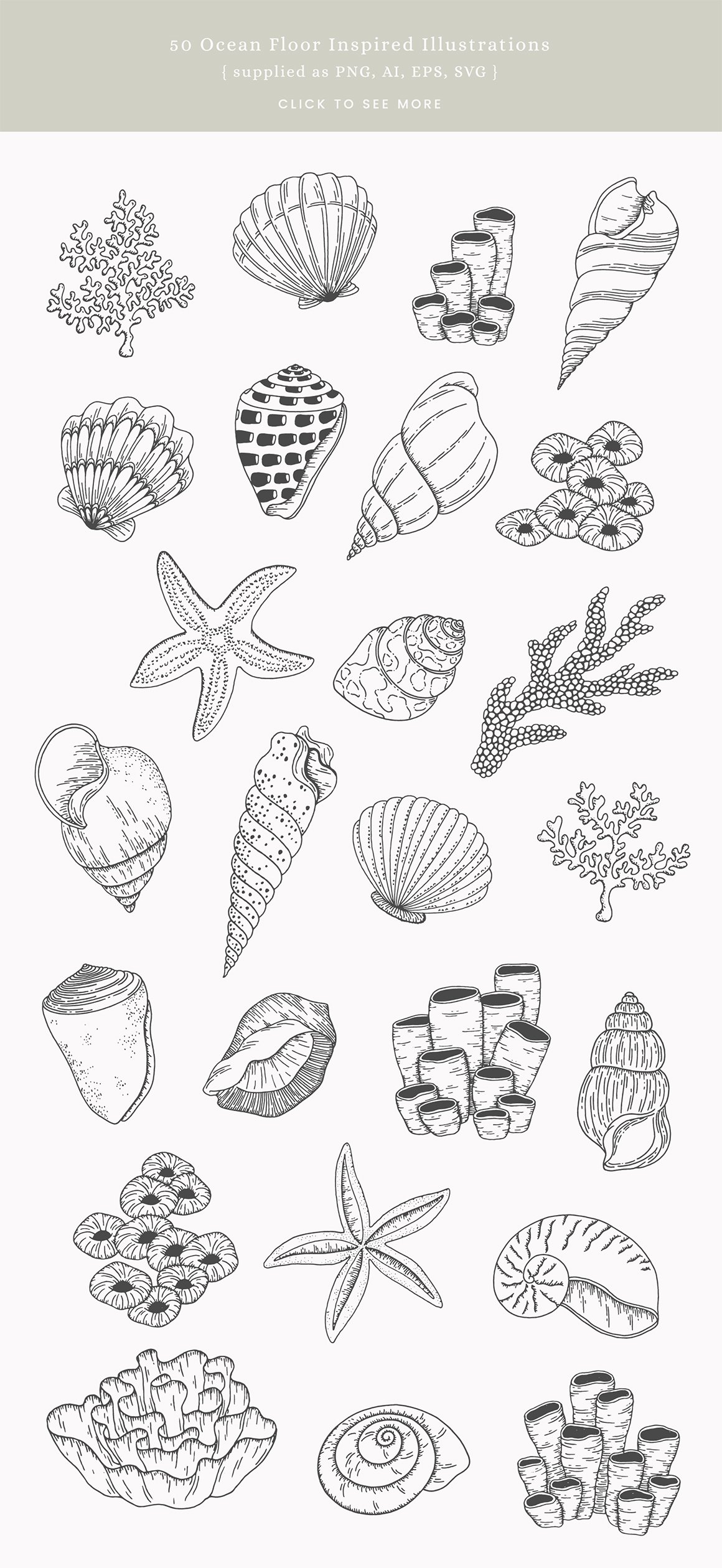 Ocean Floor Vector Illustrations
