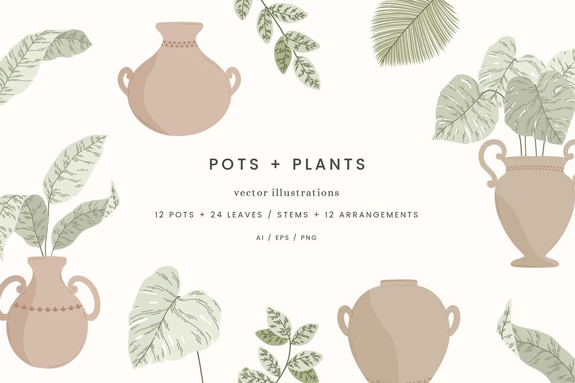 Pots & Plants Colour Vector Illustrations