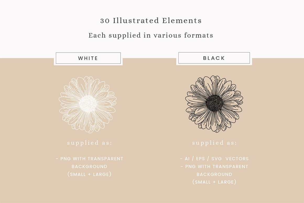 Summer Sunflowers Floral Vector Illustrations