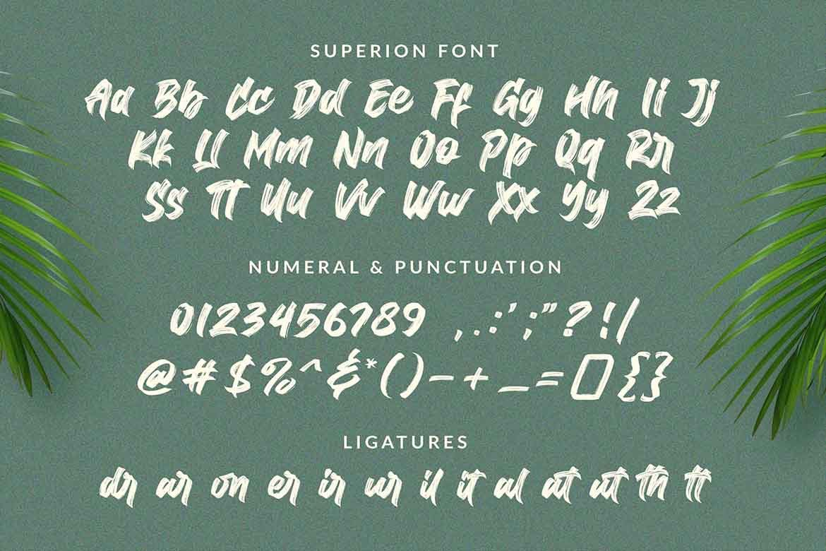 Superion Brush Script Font