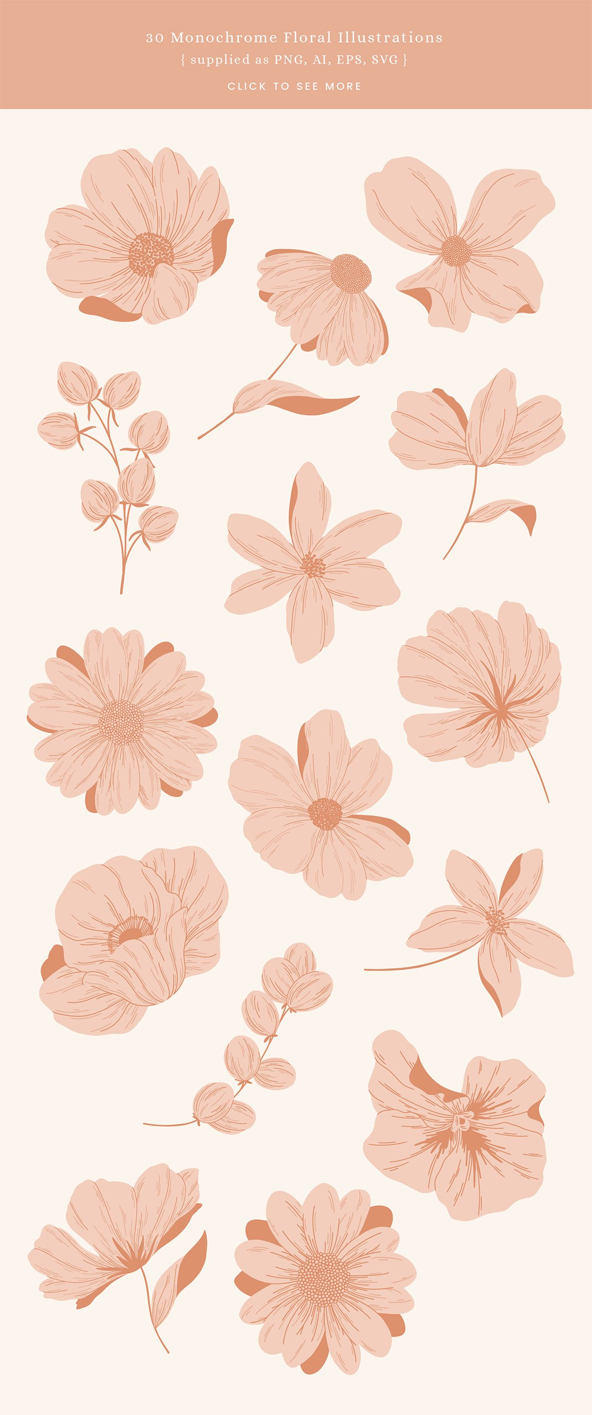 Sweet Florals Colour Vector Illustrations