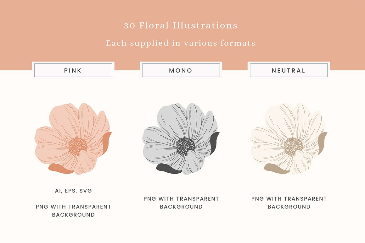 Sweet Florals Colour Vector Illustrations