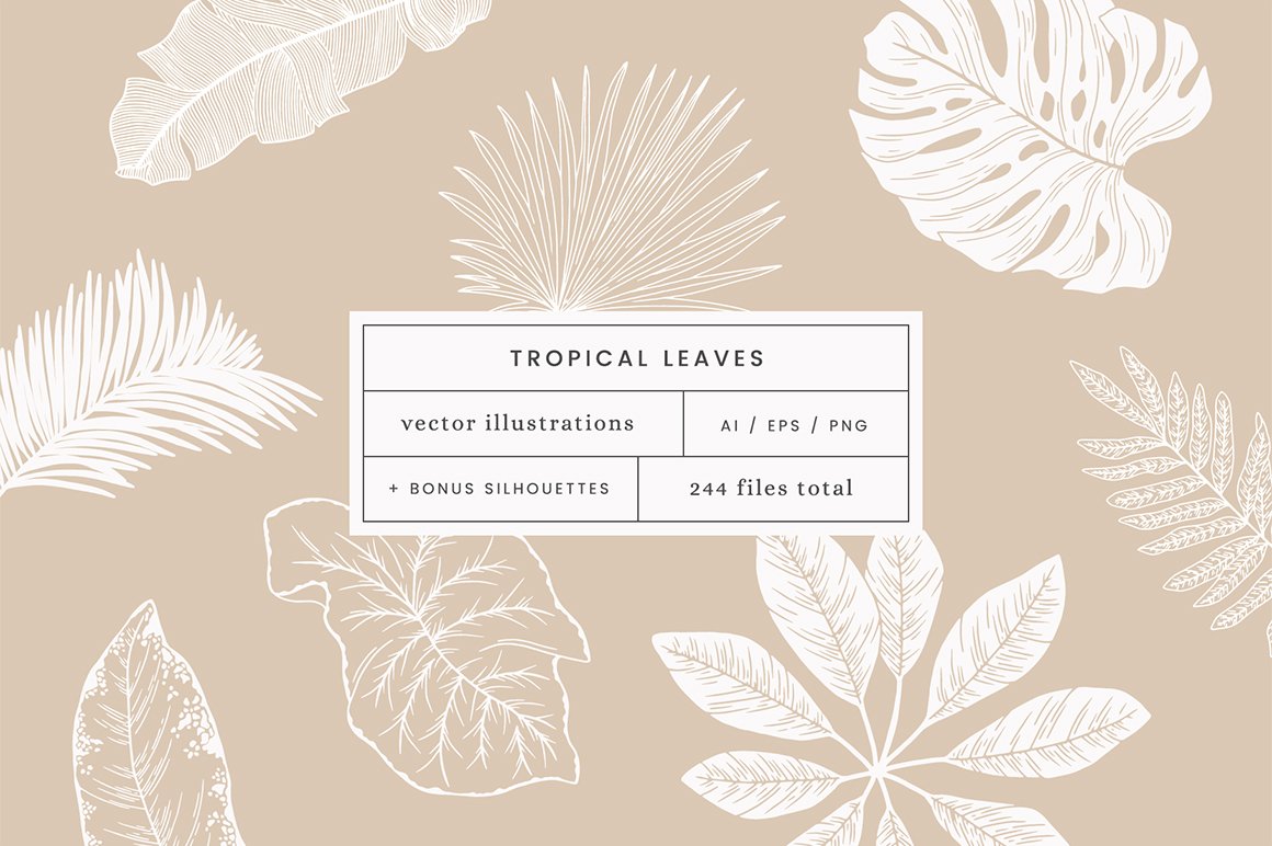 Tropical Leaves Vector Illustrations - Design Cuts