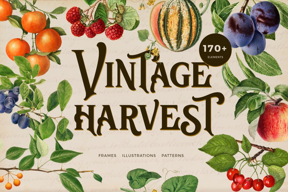 Vintage Harvest Fruits Collection