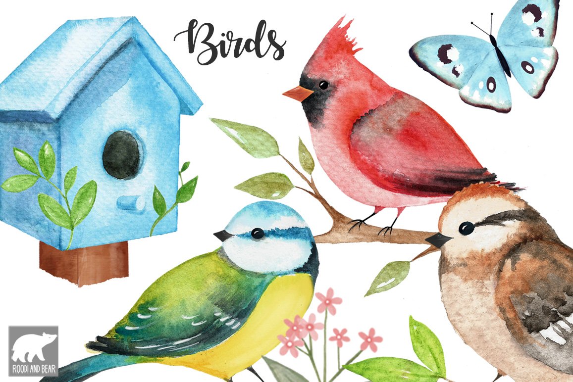 Watercolor Birds and Accessories