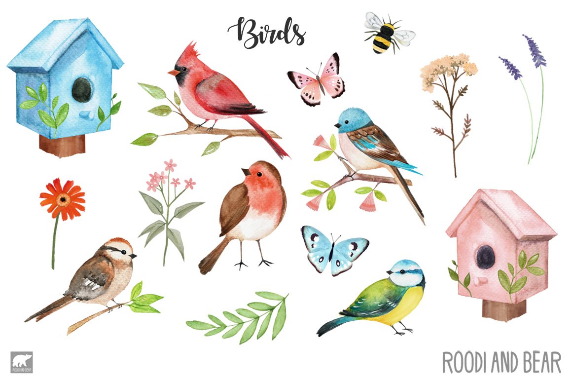 Watercolor Birds and Accessories