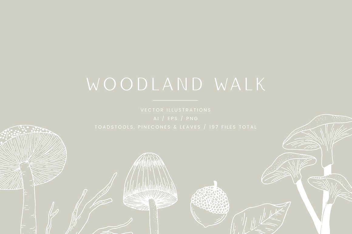 Woodland Walk Vector Illustrations