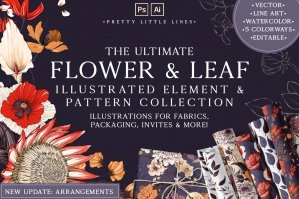 The Ultimate Flower & Leaf Illustrated Element & Pattern Collection