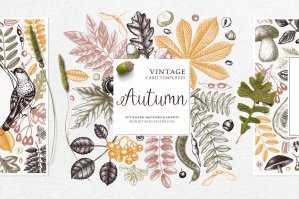 Autumn Cards & Invitations Set