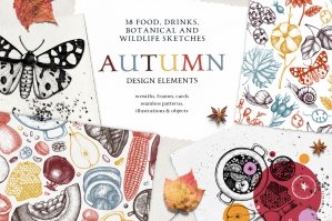 Autumn Design Elements Collection