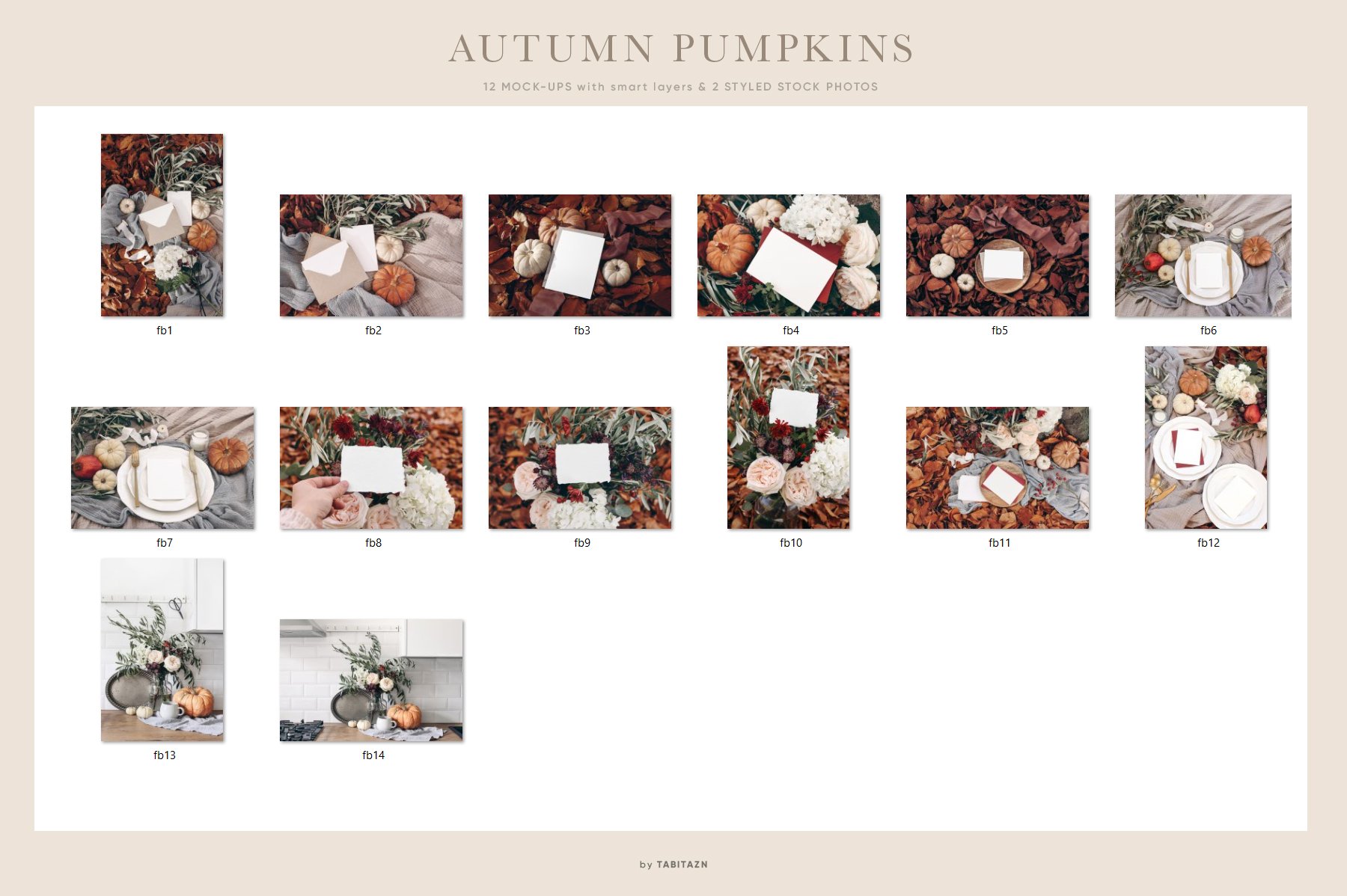 Autumn Pumpkins Stationery Mockups & Photos Set