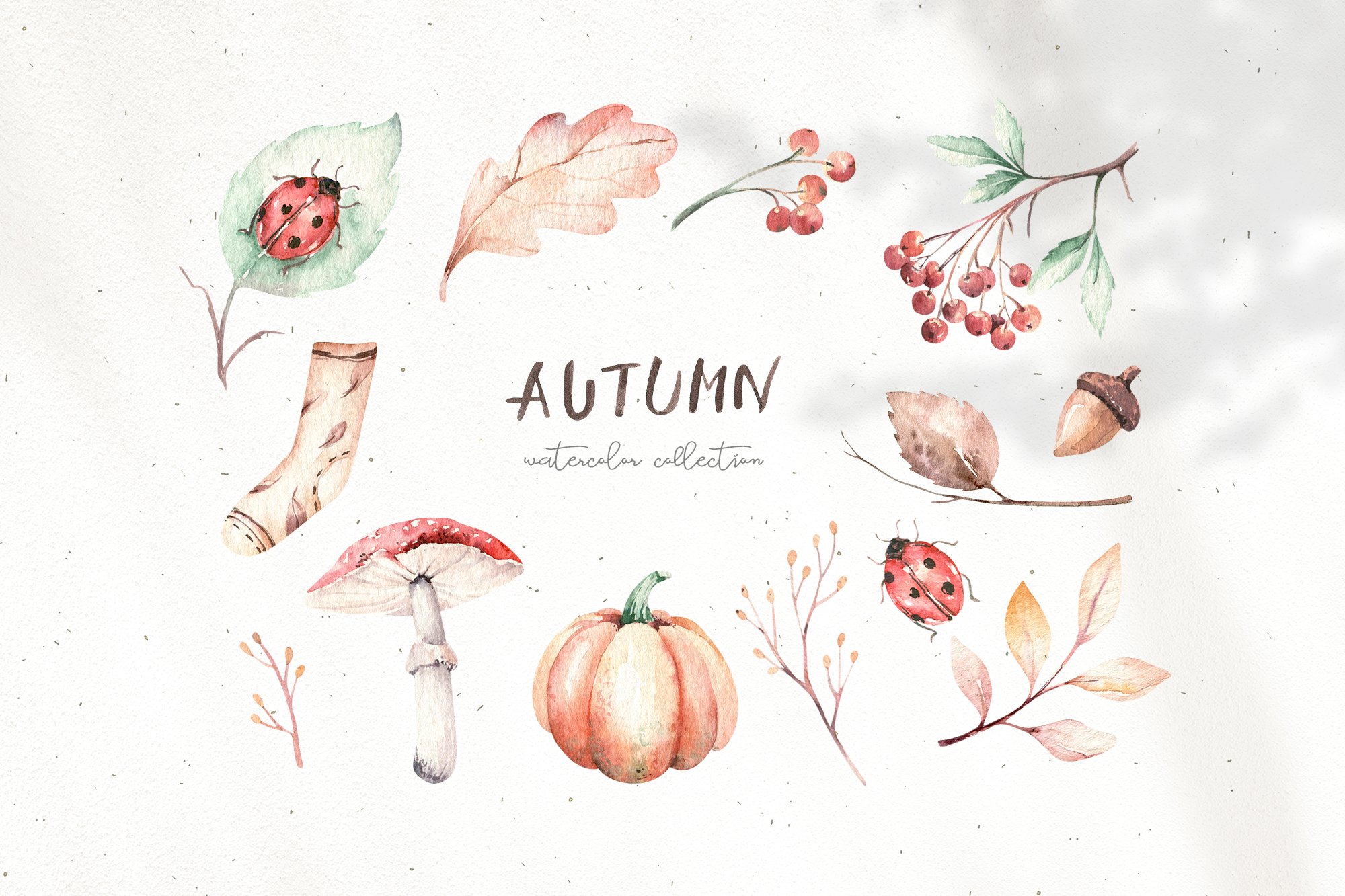 Autumn Time Watercolor Collection