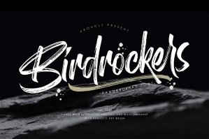 Birdrockers - Realistic Brush Font