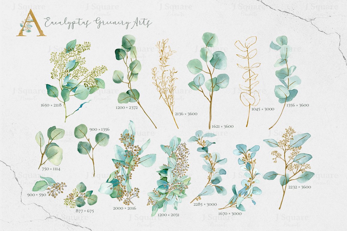 Deluxe Watercolor & Gold Eucalyptus Graphic Pack