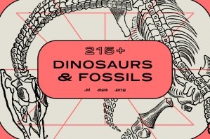 Dinosaurs & Fossils Illustrations