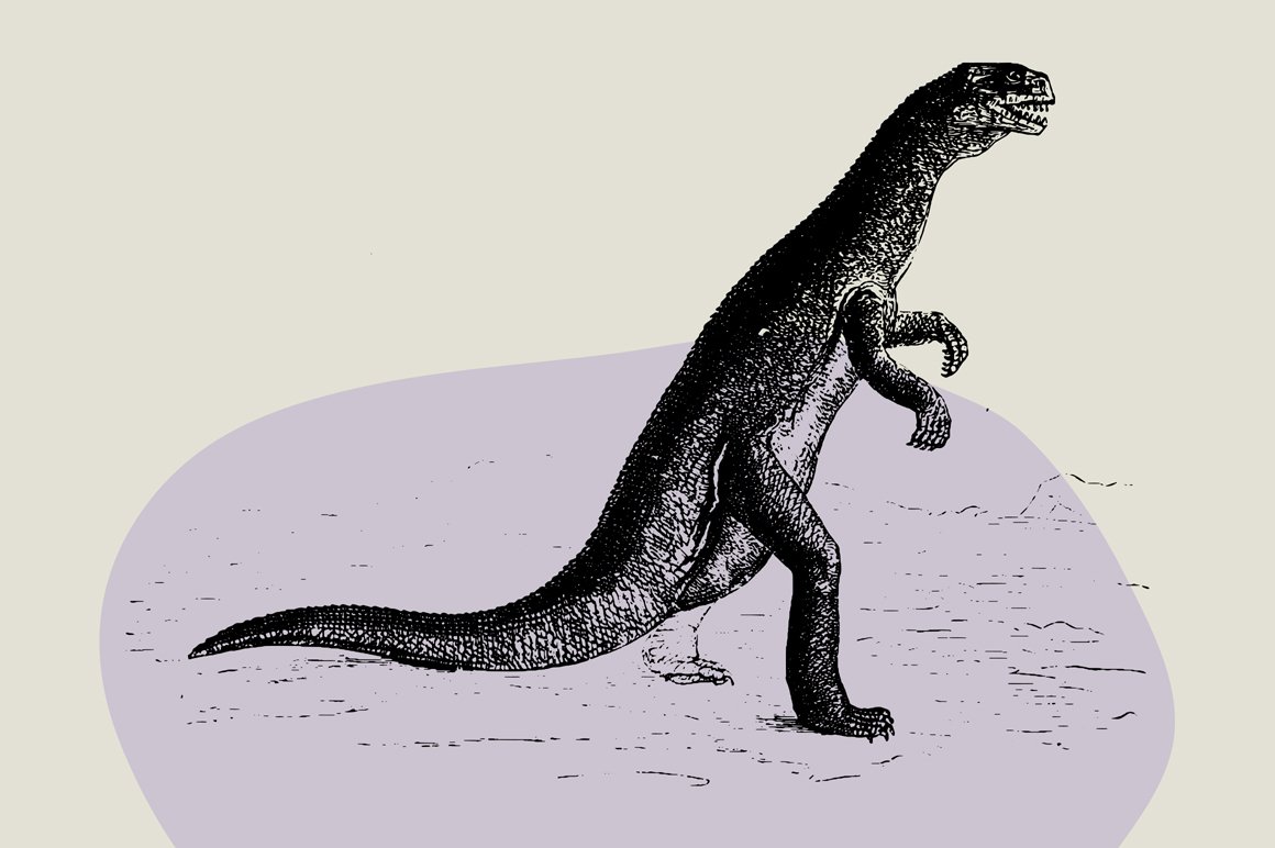 Dinosaurs & Fossils Illustrations