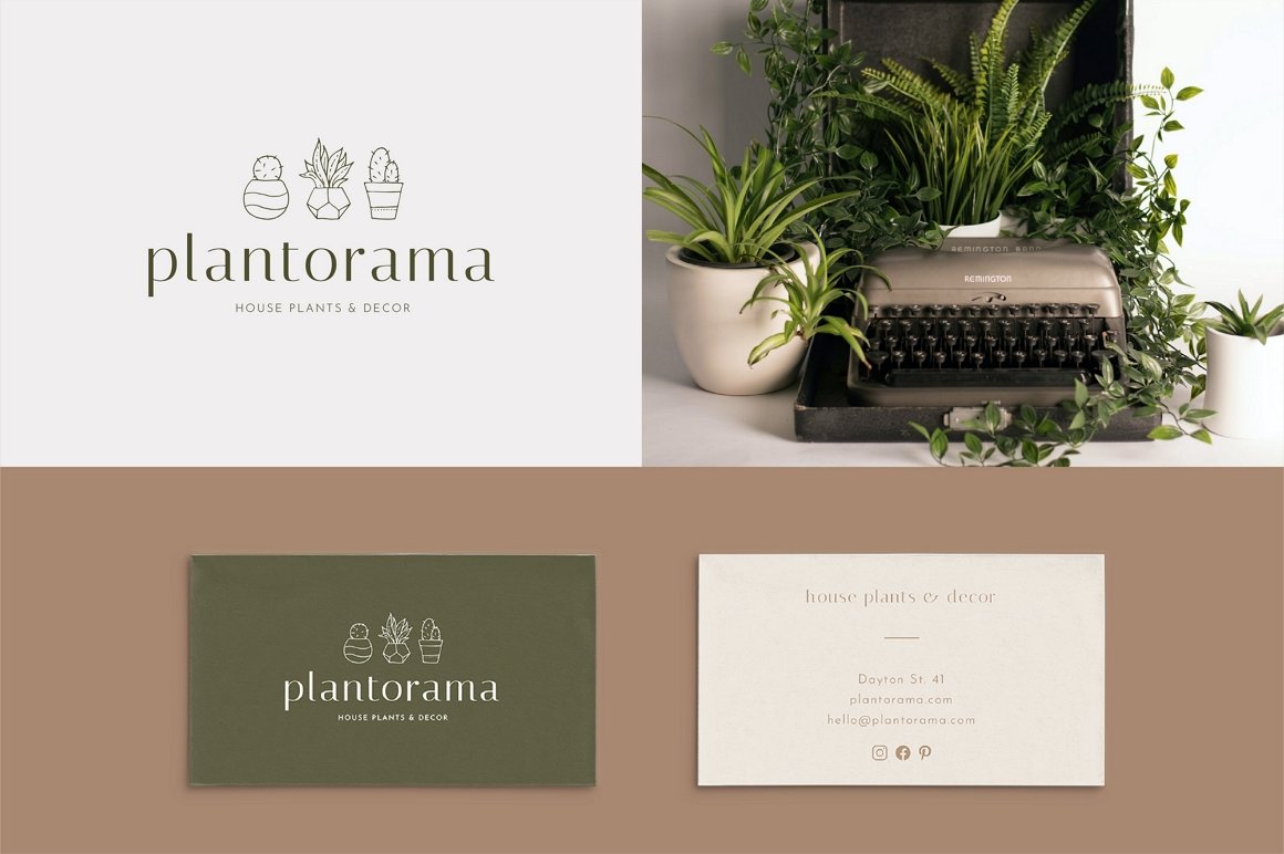 Plants & Decor Brand Kit