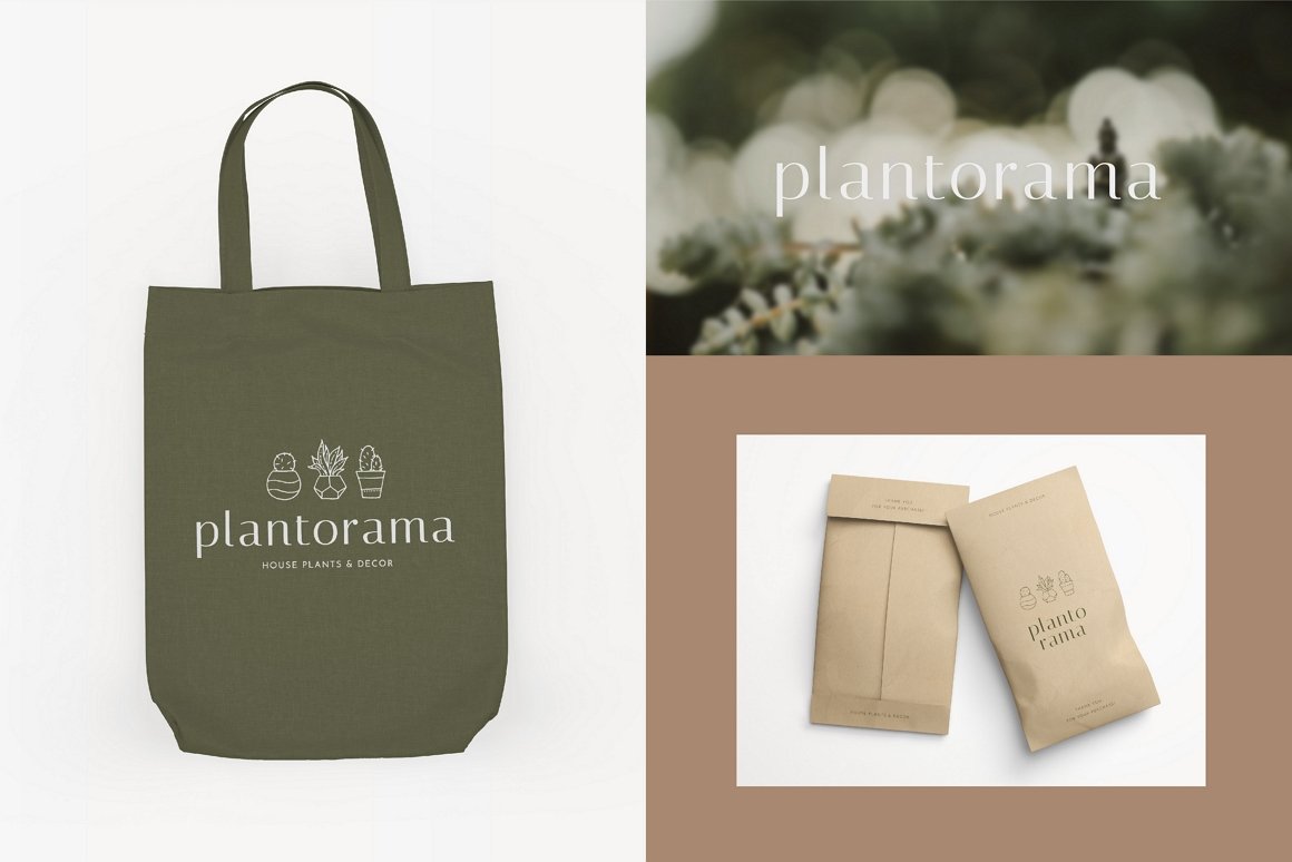 Plants & Decor Brand Kit
